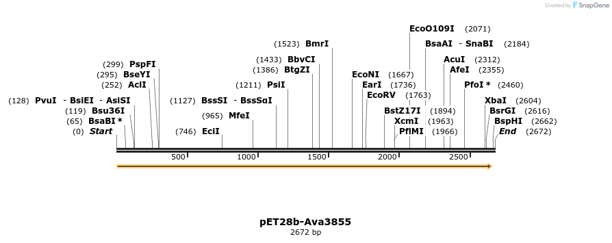64105_map
