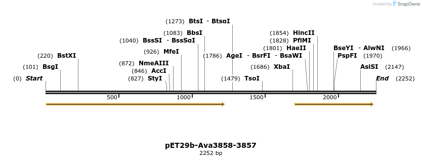 64106_map