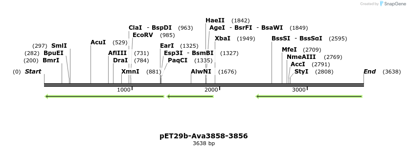 64107_map
