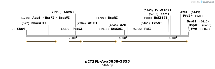 64108_map