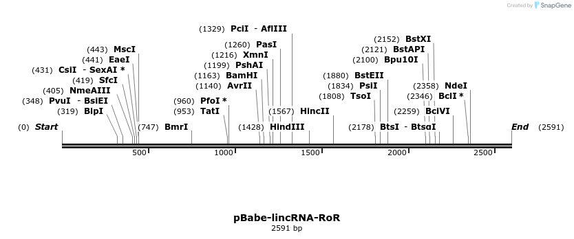 64109_map