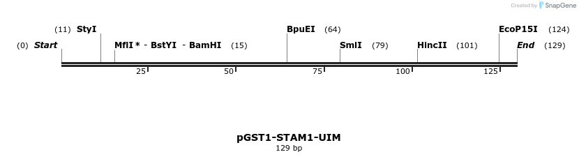 64112_map