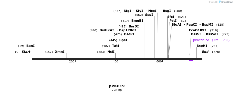 64115_map