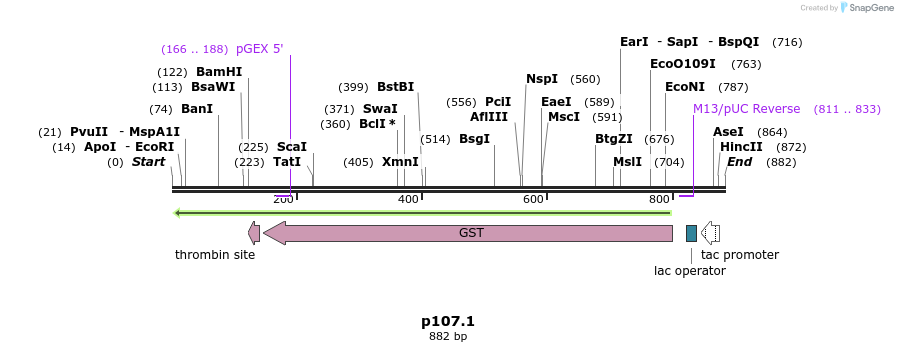 64124_map