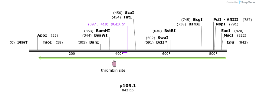 64125_map