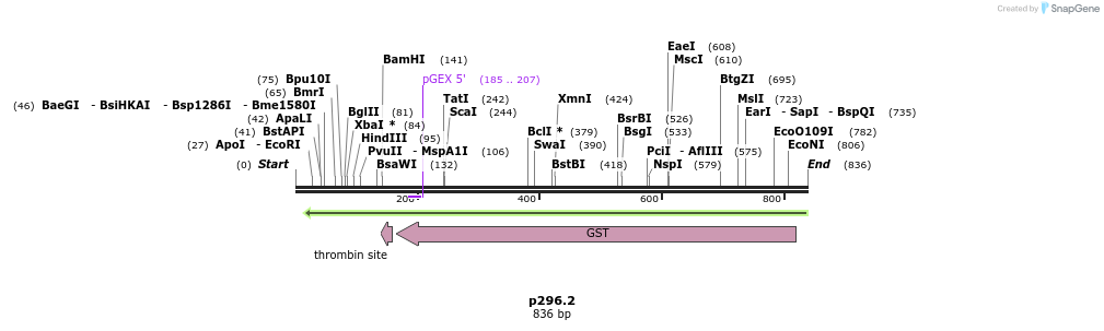 64126_map