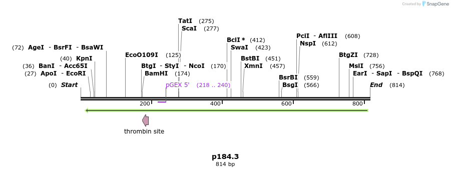 64128_map