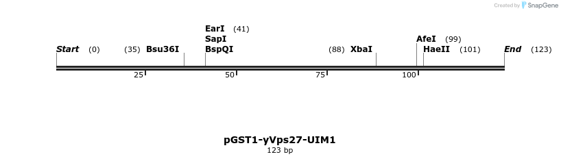 64133_map