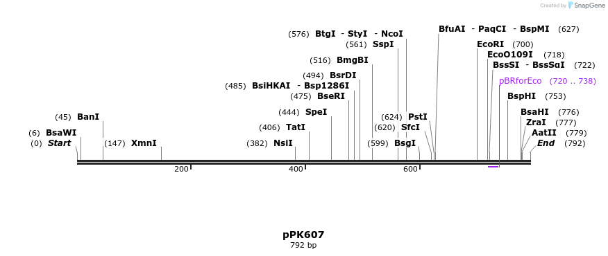 64135_map
