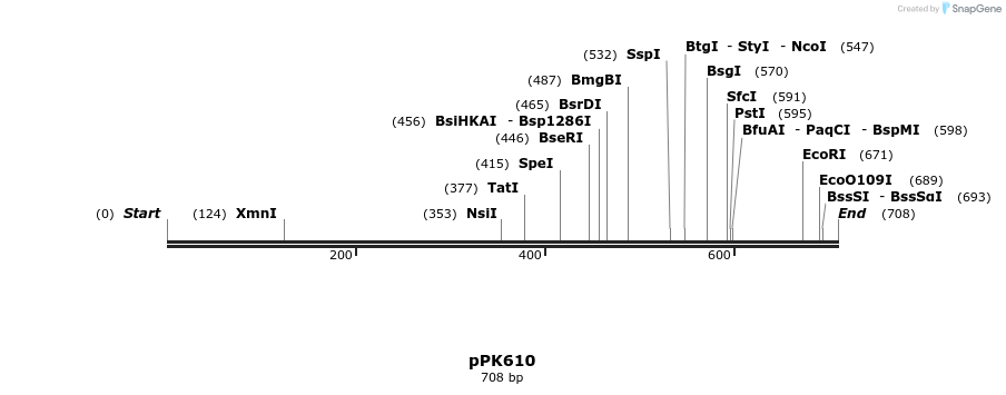 64140_map