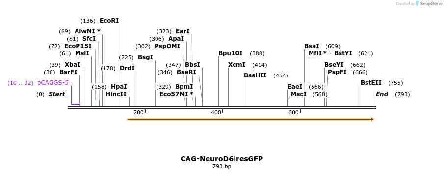 64142_map