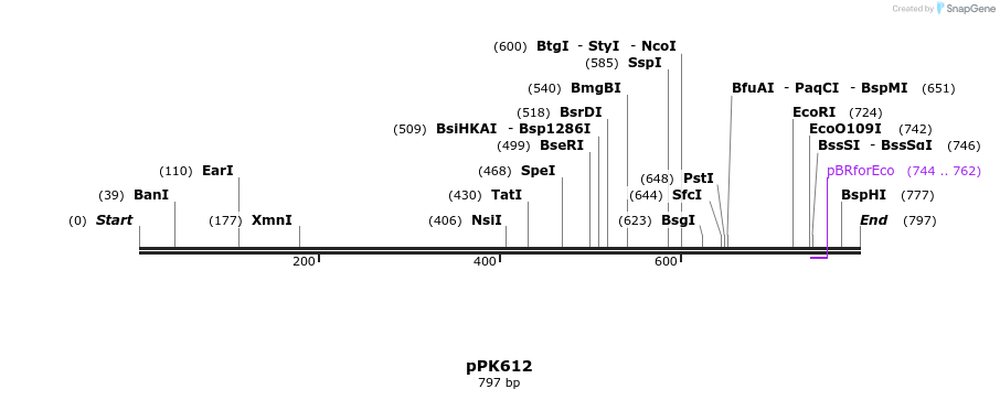 64143_map