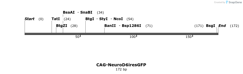 64144_map