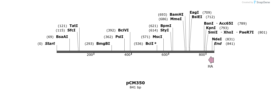 64158_map