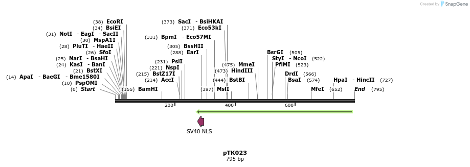 64160_map
