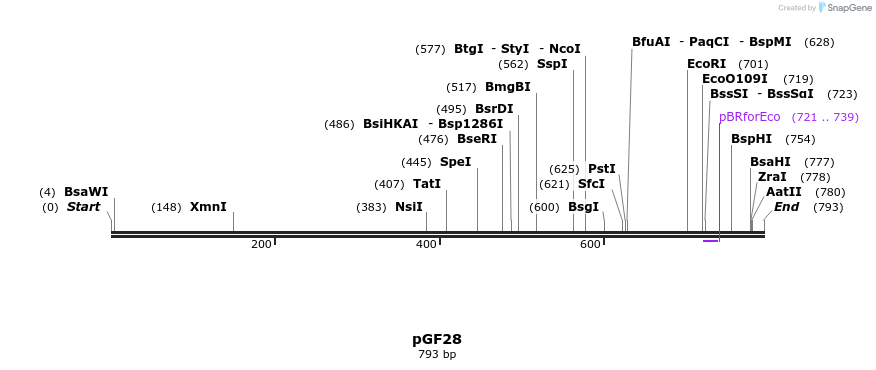 64161_map