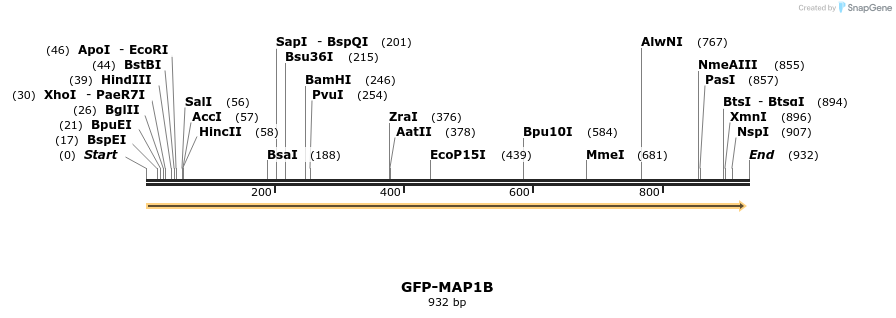 64162_map