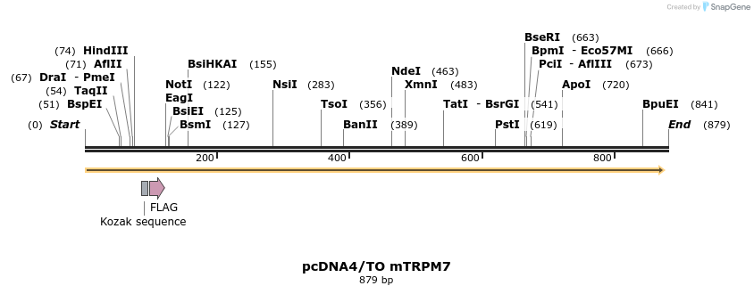 64167_map