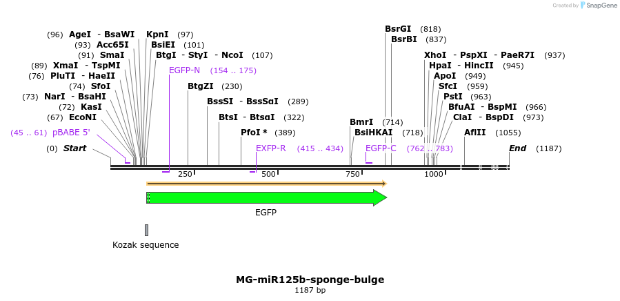 64168_map