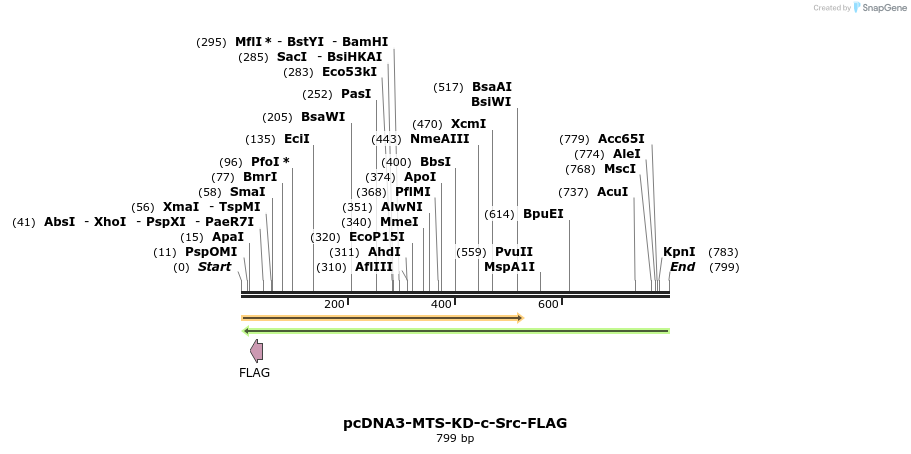 64171_map