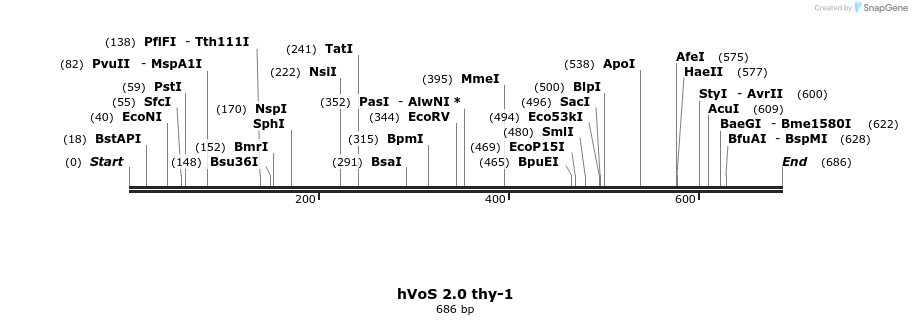 64179_map