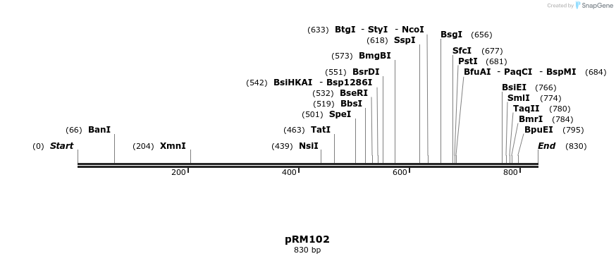 64186_map