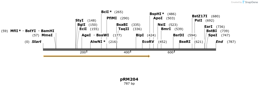 64187_map