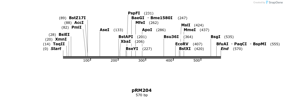 64189_map