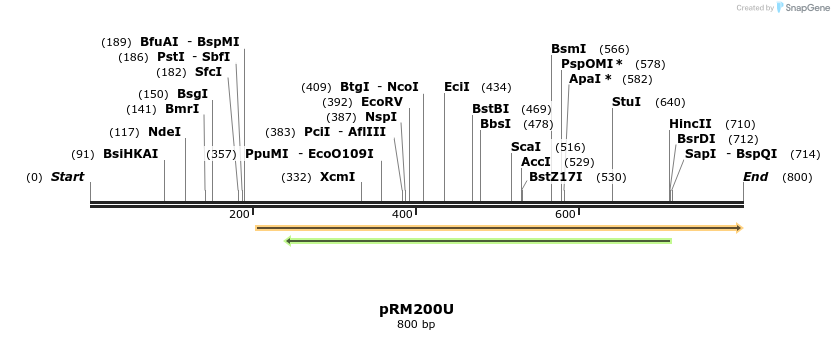 64191_map
