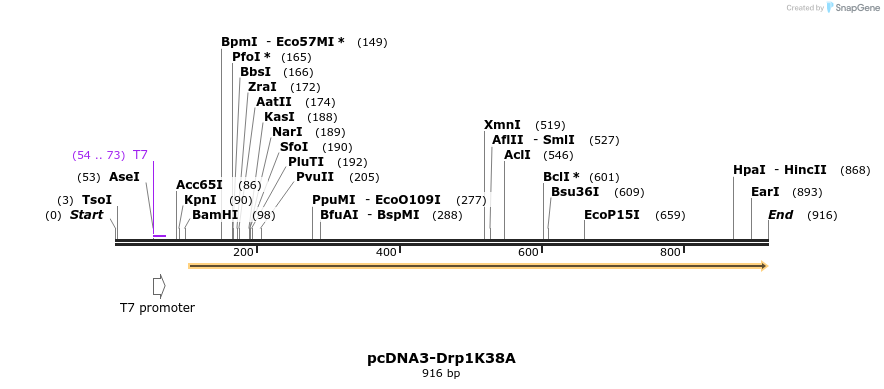 64192_map