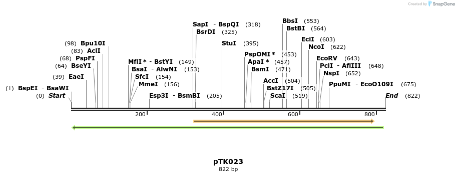 64197_map
