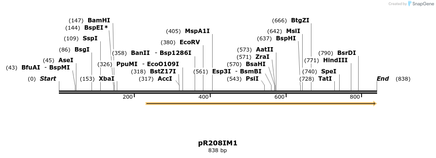 64202_map