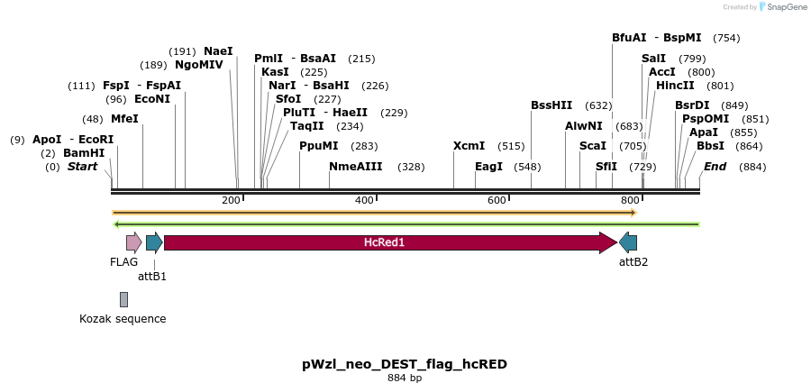 64210_map