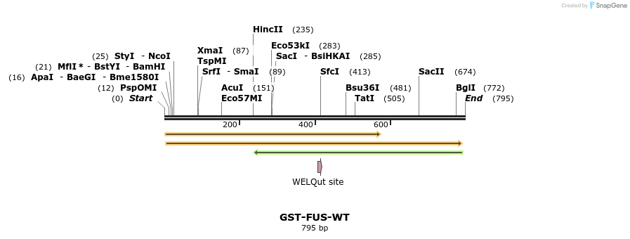 64215_map