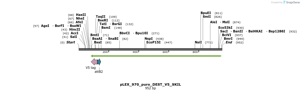 64216_map