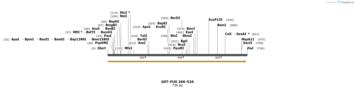 64217_map