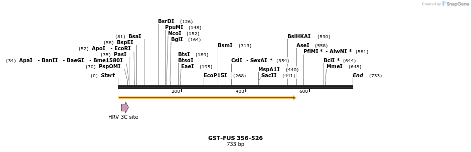 64219_map