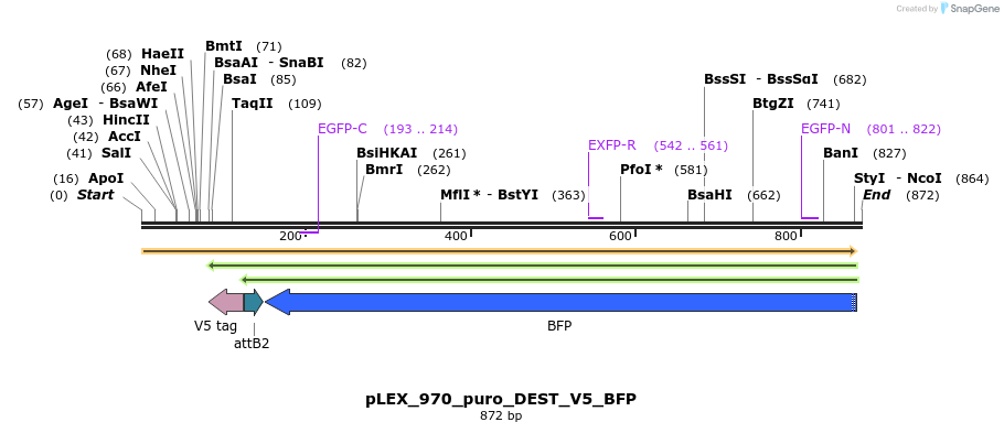 64220_map