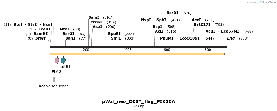 64226_map