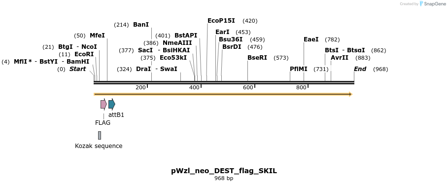 64228_map