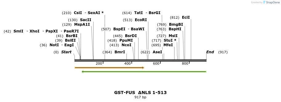 64231_map