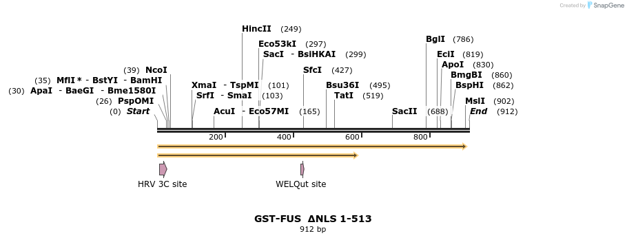 64232_map