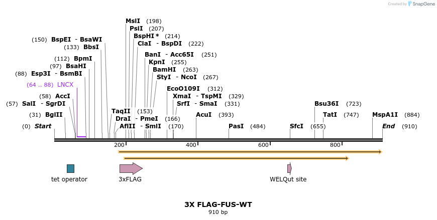 64233_map