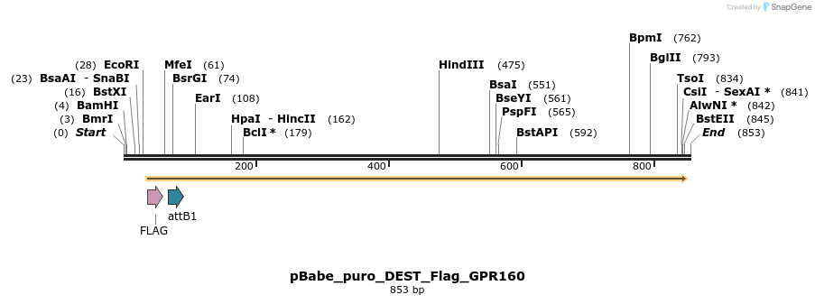 64236_map