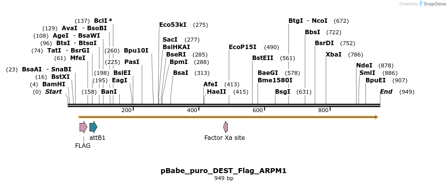 64237_map