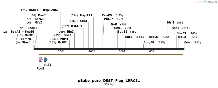 64239_map