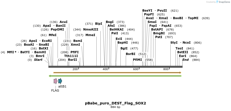 64240_map