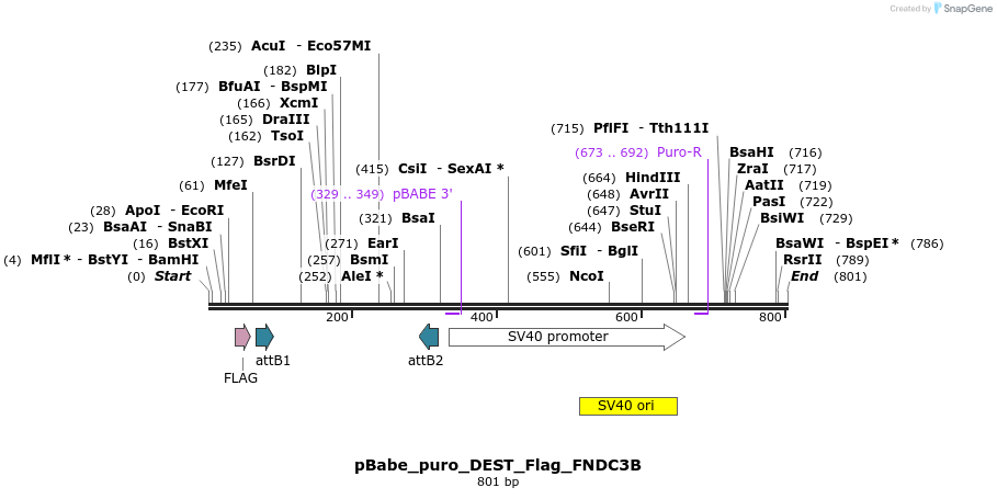 64241_map