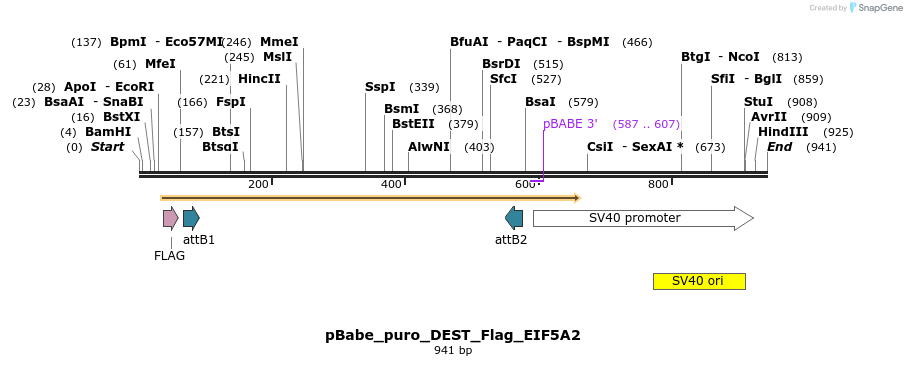 64244_map