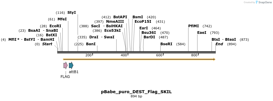64245_map